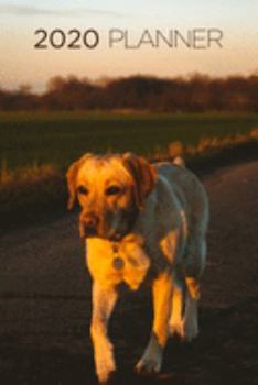 2020 Planner: Increase productivity, improve time management, reach your goals: Labrador Retriever at sunset: Modern artistic photography style