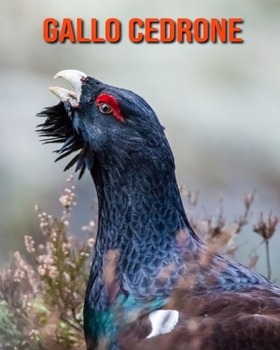 Paperback Gallo cedrone: Immagini bellissime e fatti interessanti Libro per bambini sui Gallo cedrone [Italian] Book