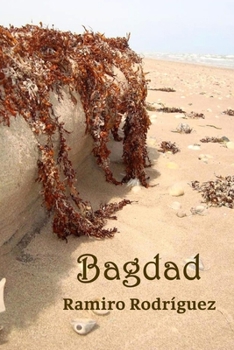 Paperback Bagdad [Spanish] Book