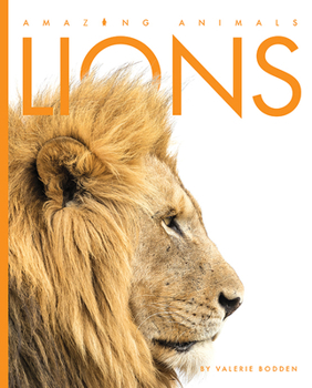 Lions - Book  of the Amazing Animals