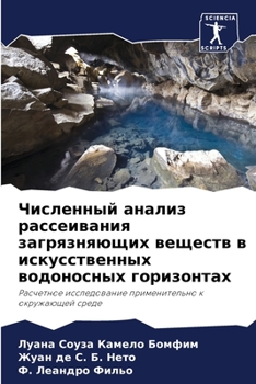 Paperback Численный анализ рассеи& [Russian] Book