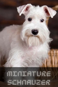 Paperback Miniature Schnauzer: Complete breed guide Book
