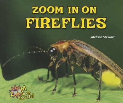 Paperback Zoom in on Fireflies Book