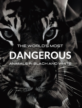 Hardcover The World's most DANGEROUS ANIMALS in Black and White: Black-and-white photo album with 45 photographs and captions Book