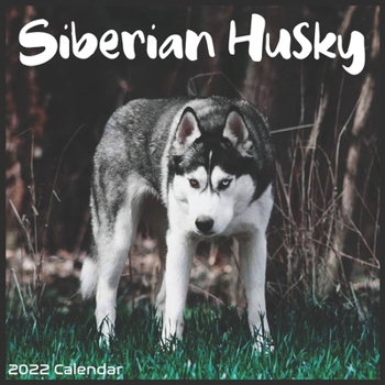 Siberian Husky Calendar 2022: Official Siberian Husky Dog breed Calendar 2022 16 Months