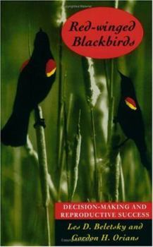 Paperback Red-Winged Blackbirds: Decision-Making and Reproductive Success Book