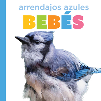 Paperback Arrendajos Azules Bebés [Spanish] Book