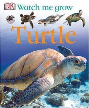 Turtle (Watch Me Grow) - Book  of the DK Watch me grow