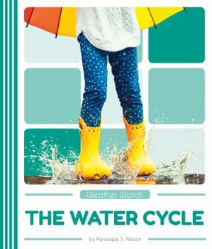 Library Binding The Water Cycle Book