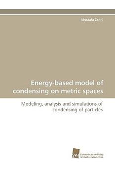 Paperback Energy-Based Model of Condensing on Metric Spaces Book