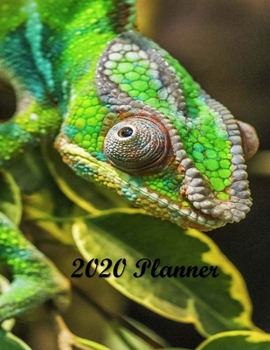 2020 Planner: Weekly & Monthly Planner | January 2020-December 2020 |  2 Page Weekly Layout with Monthly Calendar View | Birthdays, To-Do List, Goals, ... Green Glossy Cover featuring a Lizard Reptile