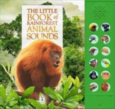 Board book Little Book Of Rainforest Animal Sounds Book
