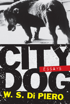 Paperback City Dog: Essays Book