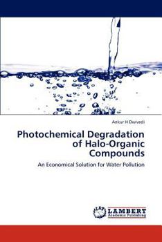 Paperback Photochemical Degradation of Halo-Organic Compounds Book