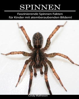 Paperback Spinnen: Faszinierende Spinnen Fakten f?r Kinder mit atemberaubenden Bildern! [German] Book