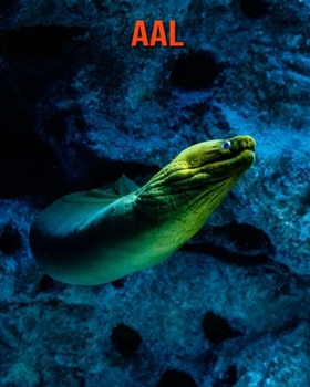 Aal: Erstaunliche Fakten & Bilder (German Edition)