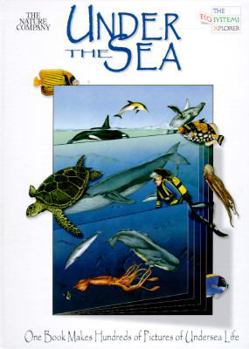 Hardcover Under the Sea: One Book Makes Hundreds of Pictures of Undersea Life Book