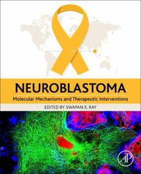 Paperback Neuroblastoma: Molecular Mechanisms and Therapeutic Interventions Book