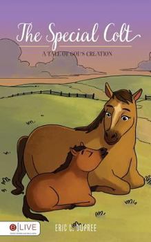 Paperback The Special Colt Book