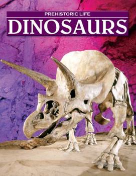 Hardcover Dinosaurs Book