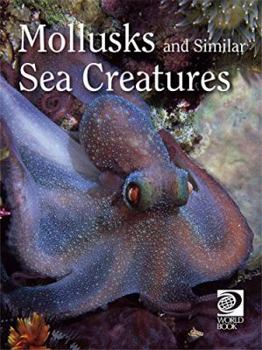 Hardcover Mollusks and Similar Sea Creatures Book
