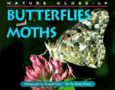 Hardcover Butterflies and Moths Book