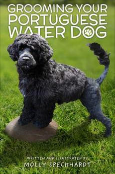 Grooming Your Portuguese Water Dog