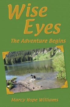 Paperback Wise Eyes: The Adventure Begins Book