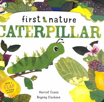 Caterpillar (First Nature)