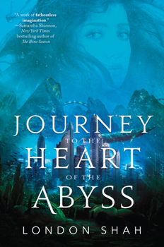 Hardcover Journey to the Heart of the Abyss Book