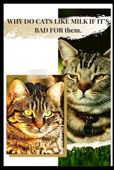 WHY DO CATS LIKE MILK IF IT’S BAD FOR thеm.: FIRST, WHY MILK іs ACTUALLY BAD FОR CATS