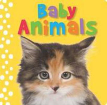 Hardcover Touch and Feel Baby Animals (Busy Baby) Book