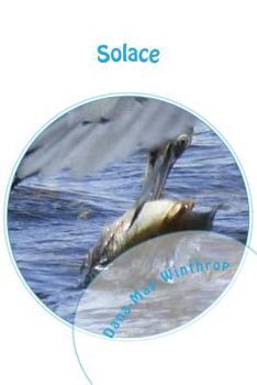 Paperback Solace Book