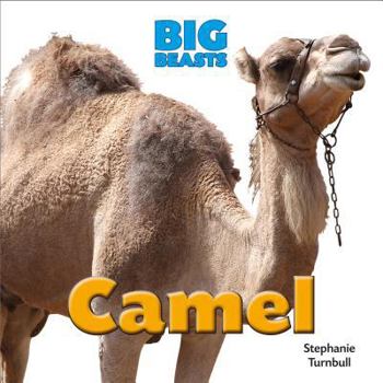 Camel - Book  of the Big Beasts