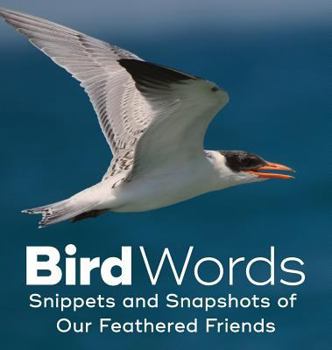 Hardcover Bird Words: Snippets and Snapshots of Our Feathered Friends Book