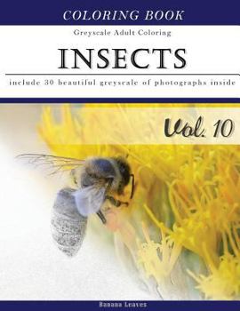 Insects Coloring Book