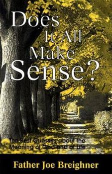 Paperback Does It All Make Sense?: Ten Best Guesses about the Meaning of God and of Life Book