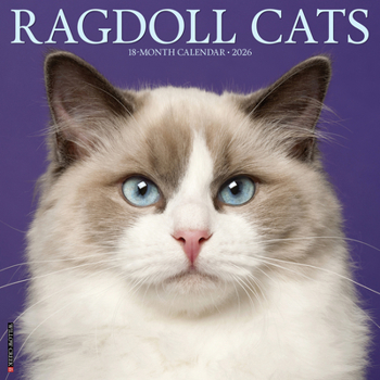 Calendar Ragdoll Cats 2026 Wall Calendar Book