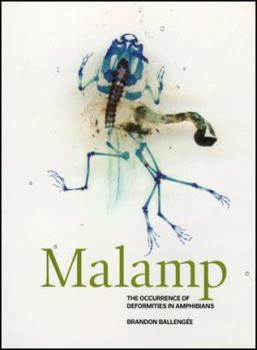 Paperback Brandon Ballengee: Malamp-Occurrence.. PB Book