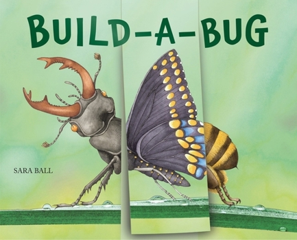 Board book Build-A-Bug: Make Your Own Wacky Insect! Book