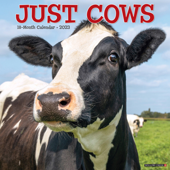 Calendar Just Cows 2023 Wall Calendar Book