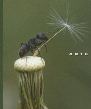 Library Binding Ants Book