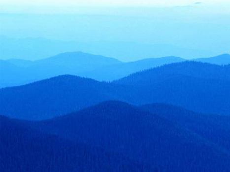 Paperback Black Leapt in Book