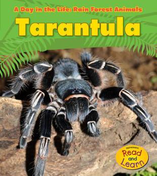 Hardcover Tarantula Book