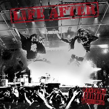 Vinyl Life After (LP) Book