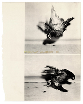 Paperback Carmen Winant: Arrangements Book