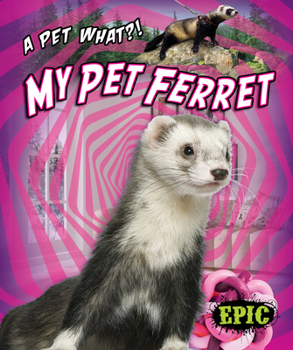 Library Binding My Pet Ferret Book