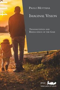 Paperback Imaginal Vision Book