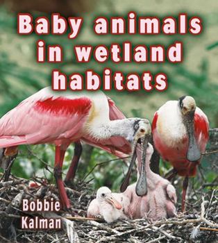 Paperback Baby Animals in Wetland Habitats Book