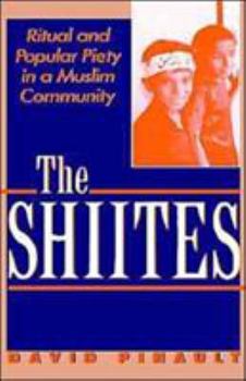 Hardcover The Shiites Book